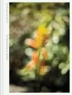 terri weifenbach cloud physics