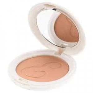 Embryolisse. Laboratoires Artist Secret Radiant Complexion Compact Powder 12g
