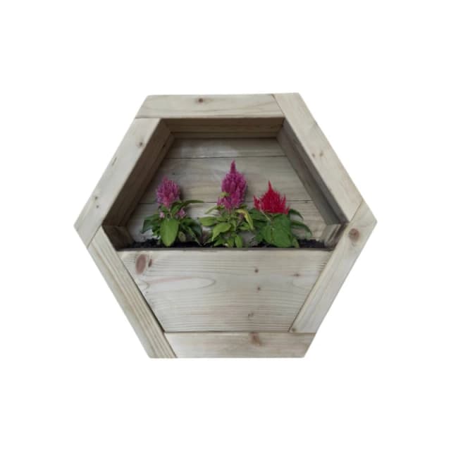 Buttercup Farm Small Hanging Wooden Hexagon Wall Planter - L16 x W34 x H30cm in Light Brown Light Brown Unisex