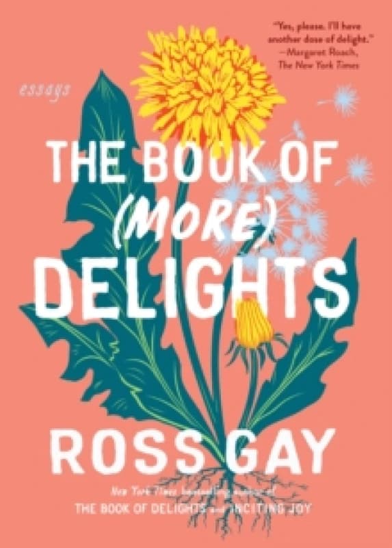 The Book of (More) Delights : Essays Paperback / softback