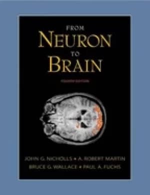 from neuron to brain a cellular and molecular approach to the function of t