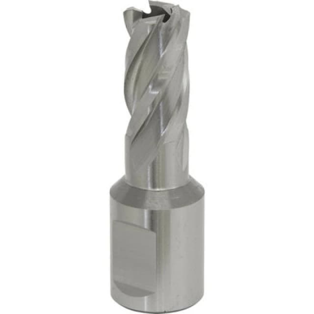 Loops 13mm x 25mm Depth Rotabor Cutter - M2 Steel Annular Metal Core Drill 19mm Shank Metallics
