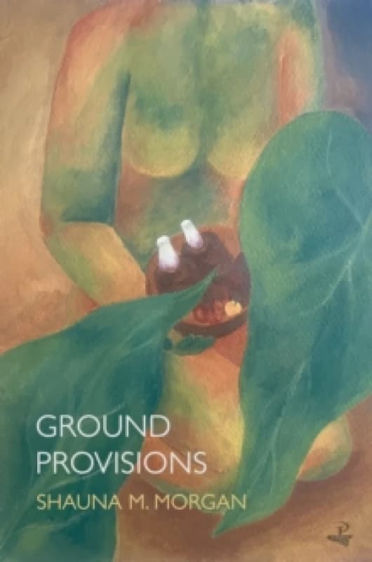Ground Provisions Paperback / softback