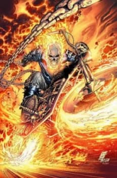 Ghost Rider. Vol. 1 Vicious Cycle by Daniel Way Book