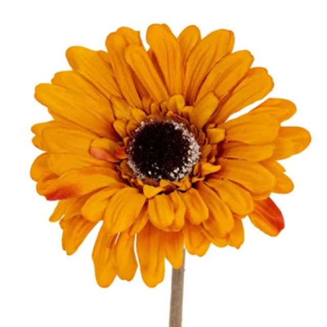 Hill Interiors Soft Gerbera Gerbera Artificial Flower Orange (One Size)