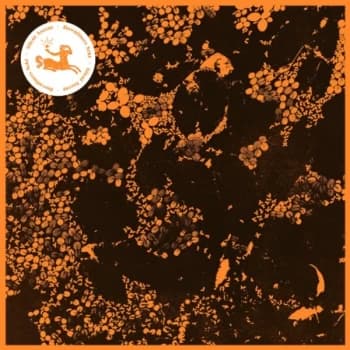 Downliners Sekt - Silent Ascent Vinyl