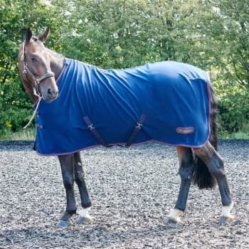 John Whitaker Rastrick Fleece Rug 13 - Blue
