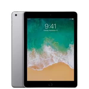 Apple iPad 9.7 5th Gen 2017 Cellular LTE 128GB