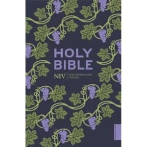 NIV Holy Bible (Hodder Classics)