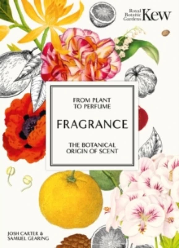 Fragrance : From plant to perfume, the botanical origins of scent Hardback