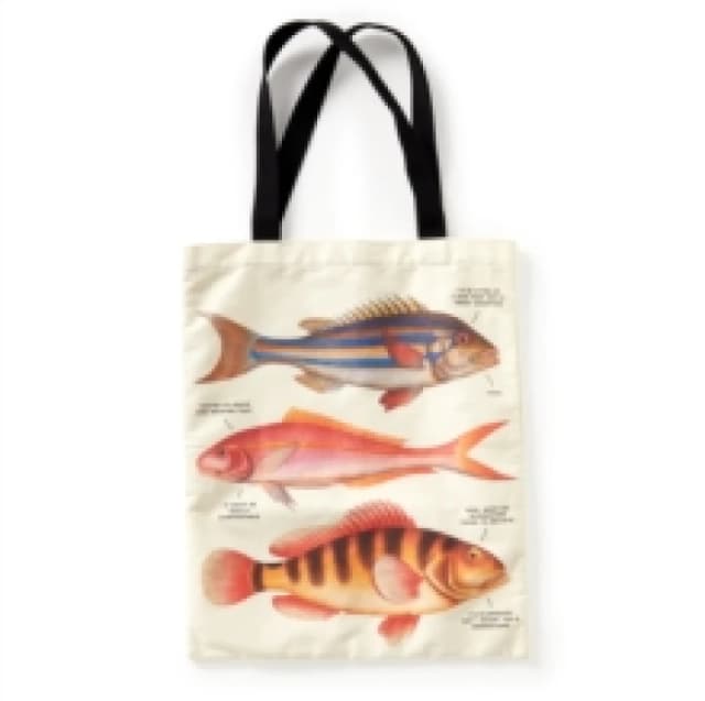 Judgy Fish Canvas Tote. Novelty book. By Brass Monkey Books