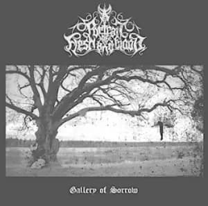 Gallery of Sorrow by A Portrait of Flesh and Blood CD Album