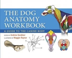 The dog anatomy workbook by Andrew Gardiner