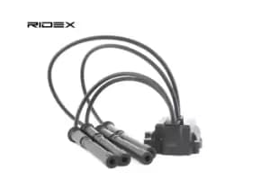 RIDEX Ignition coil 689C0043 Coil pack,Ignition coil pack RENAULT,NISSAN,TWINGO I (C06_),CLIO II (BB0/1/2_, CB0/1/2_),KANGOO (KC0/1_)