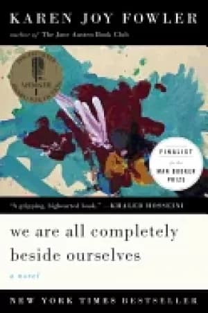 we are all completely beside ourselves a novel