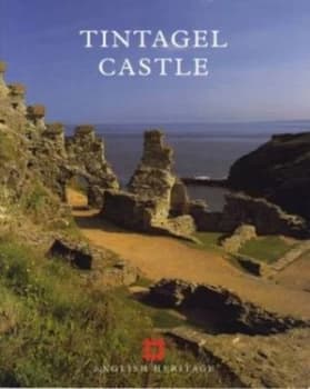Tintagel Castle by Brian K Davison Paperback