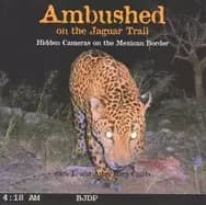 ambushed on the jaguar trail