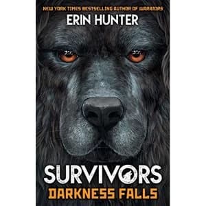 Survivors Book 3: Darkness Falls Paperback / softback 2019