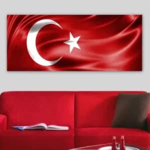 YTY103599822825_50120 Multicolor Decorative Canvas Painting