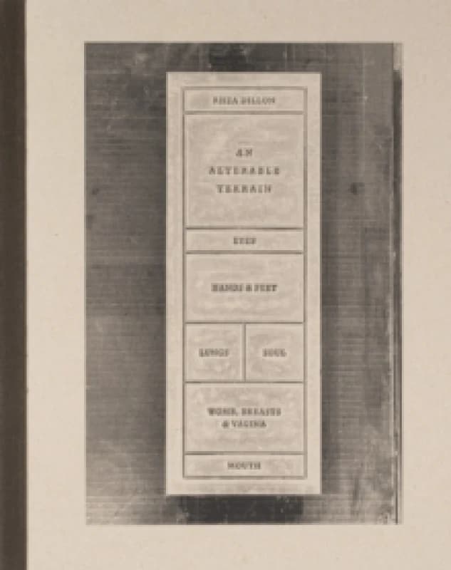 Rhea Dillon : An Alterable Terrain Paperback / softback