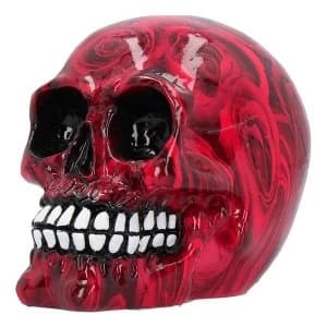 Romance Pack of 6 Skulls