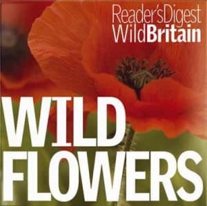 Wild Flowers by Readers Digest Paperback