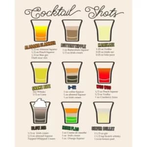 Vintage Metal Sign Classic Cocktail Shot Recipes
