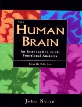 The Human Brain by John Nolte Hardback