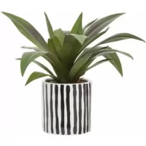 Fiori Agave in Ceramic Pot - Premier Housewares