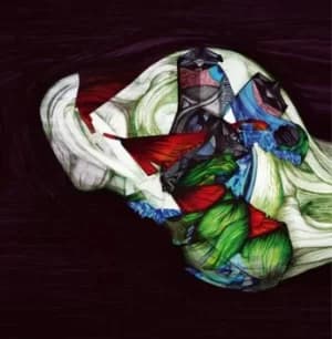 Stridulations by Pali Meursault Vinyl Album