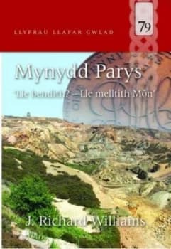 Mynydd Parys by J. Richard Williams Paperback