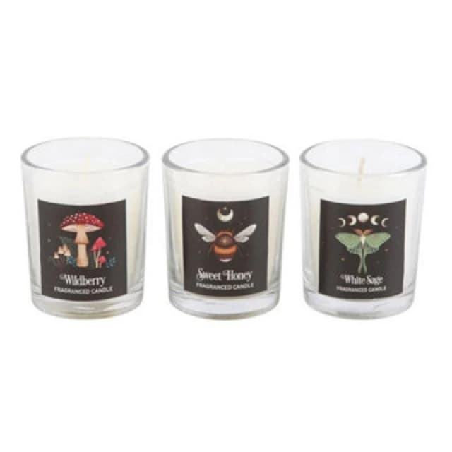 Something Different Something Different Dark Forest Trio Votive Candles (Pack of 3) in White White One Size Unisex 5063693881528