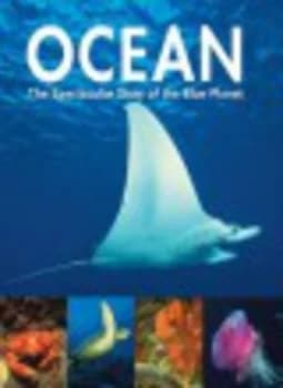 Ocean by Bryan Richard and Sarah Rickayzen and Joan Barker Hardback