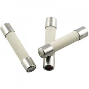 ESKA 52817 Micro fuse x L 5mm x 25mm 1 A 250 V Medium time lag mT Content 10 pcs