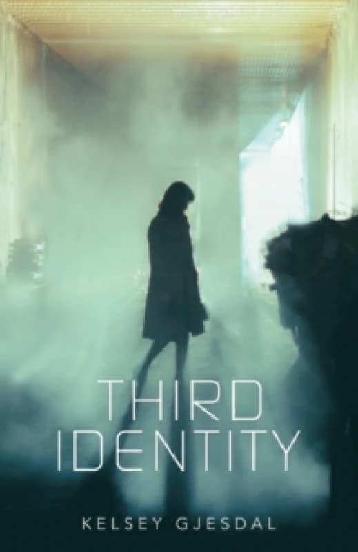 Third Identity Paperback / softback