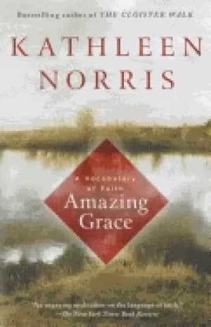 amazing grace a vocabulary of faith