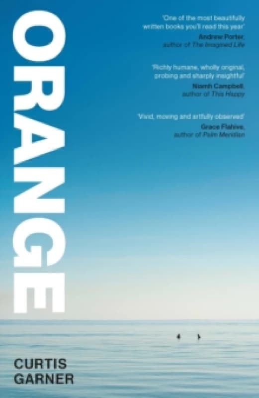 Orange Paperback / softback