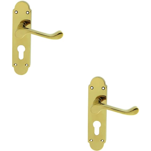 Loops 2x PAIR Victorian Upturned Lever on Euro Lock Backplate 170 x 42 Polished Brass Metallics