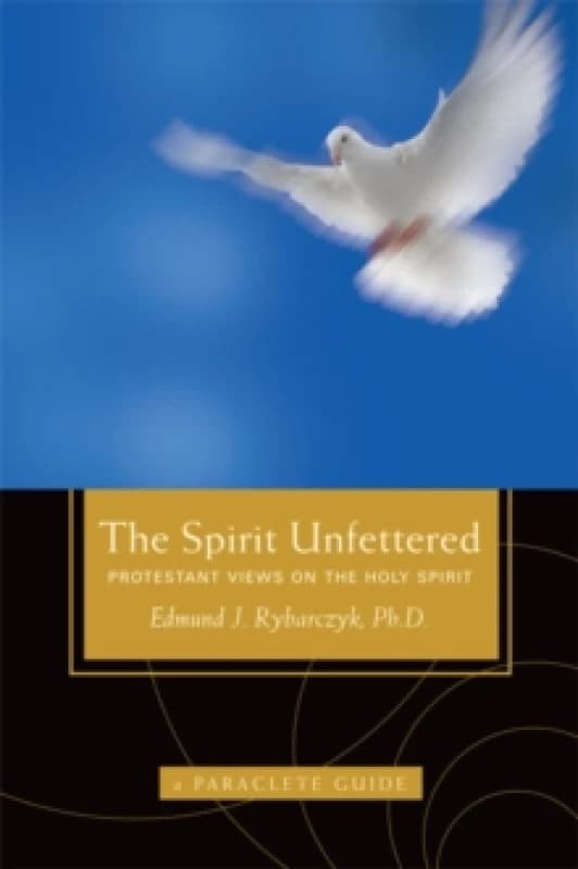 The Spirit Unfettered : Protestant Views on the Holy Spirit Paperback / softback