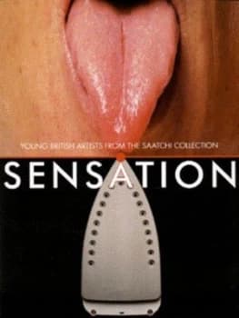 Sensation by Norman Rosenthal Paperback