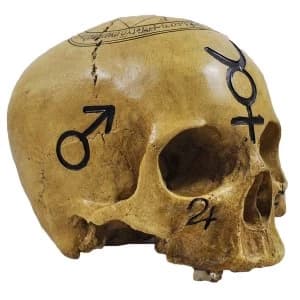 Witchcraft Pagan Skull