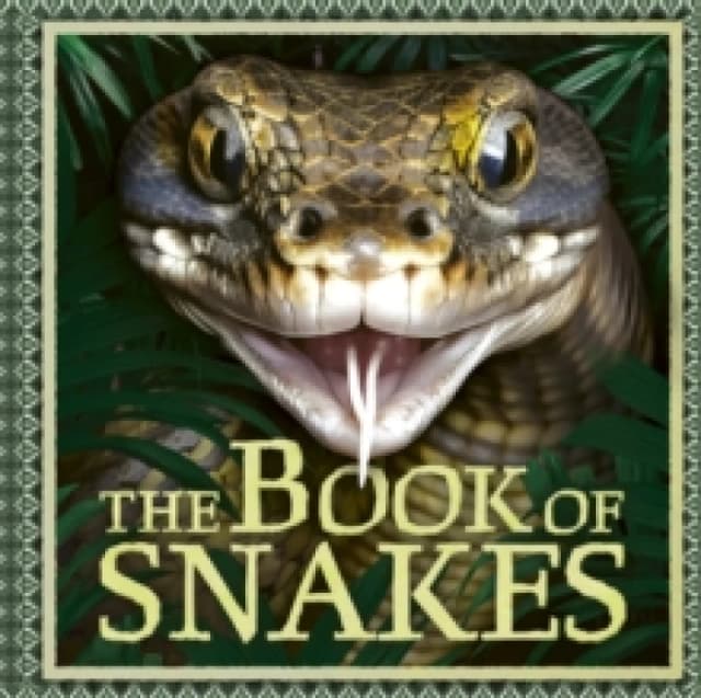 The Book of Snakes Paperback / softback
