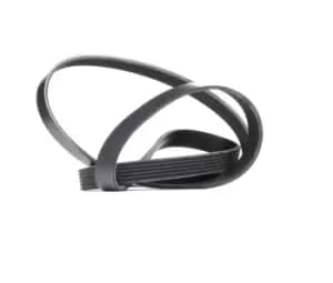 RIDEX V-ribbed belt VW,AUDI,BMW 305P0083 46444537,46787906,55186364 Serpentine belt,Auxiliary belt,Poly V-belt,Ribbed belt,Multi V-belt,Poly belt