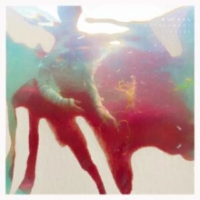 Attachment Styles Vinyl