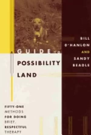 guide to possibility land fifty one methods for doing brief respectful ther