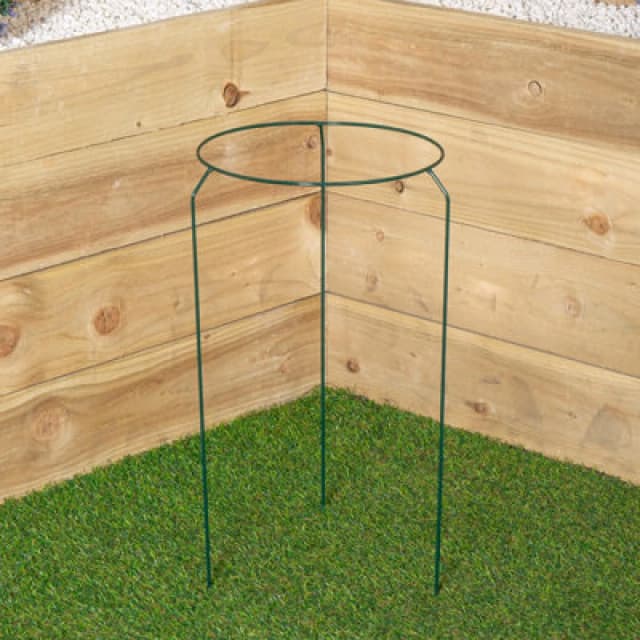 Samuel Alexander Tom Chambers Urban Metal Herbaceous Garden Plant Support Ring Medium 30cm x 50cm Dark Green unisex