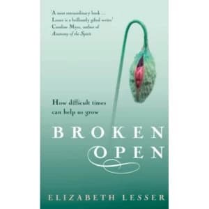 Broken Open: How difficult times can help us grow by Elizabeth Lesser (Paperback, 2004)