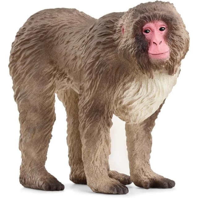 Schleich Japanese Macaque Multi unisex