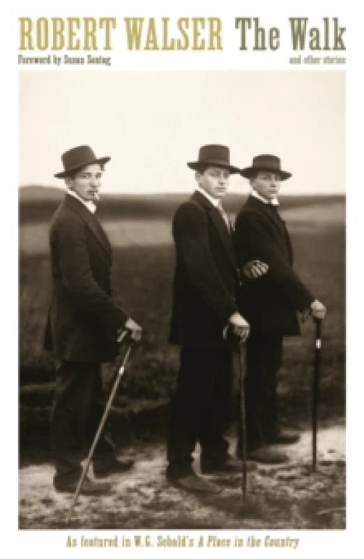The Walk. Paperback. By Robert Walser Books