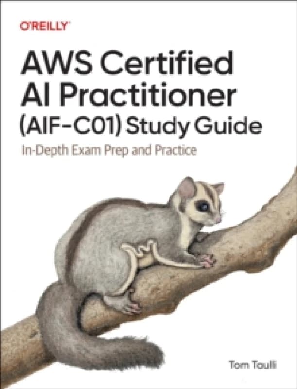 AWS Certified AI Practitioner (AIF-C01) Study Guide : In-Depth Exam Prep and Practice Paperback / softback